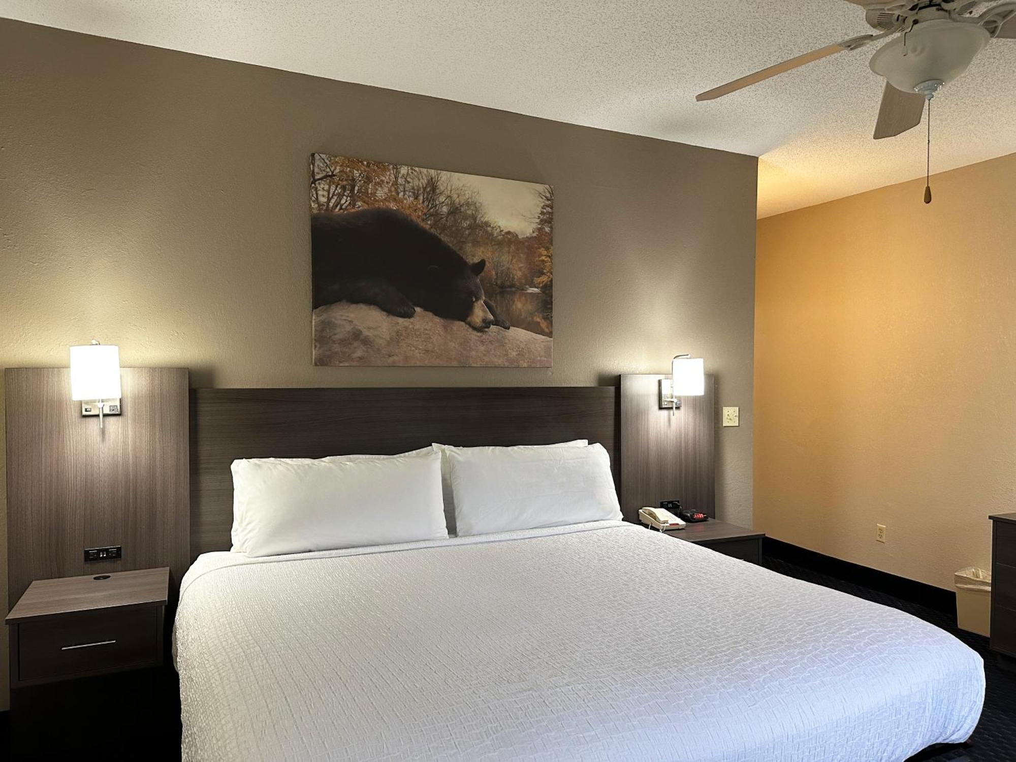 Sidney James Mountain Lodge Gatlinburg Esterno foto